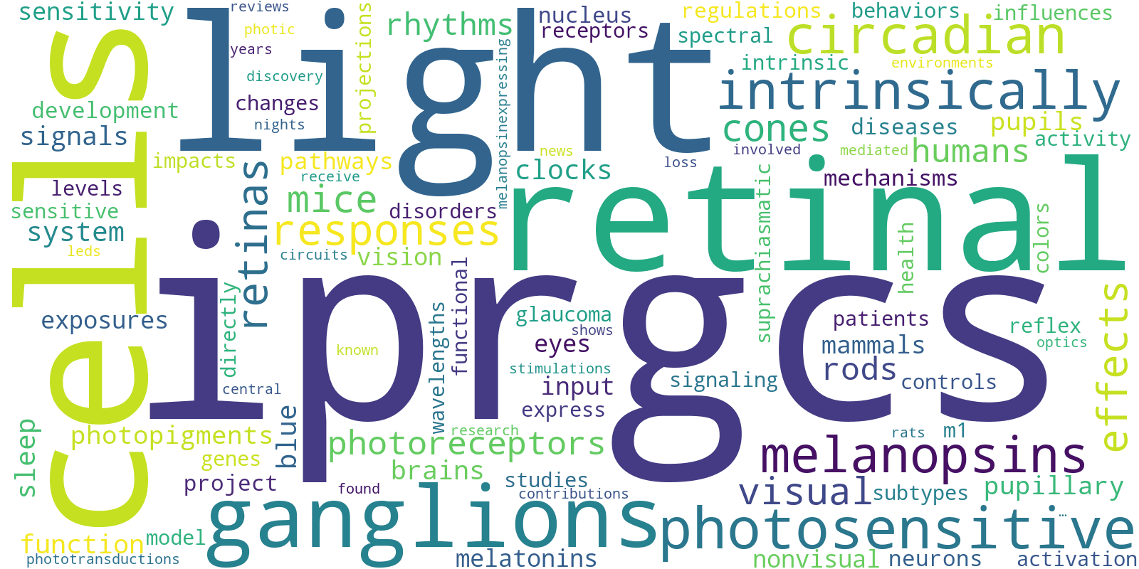 Innerscne ipRGCs Research Center Word Cloud